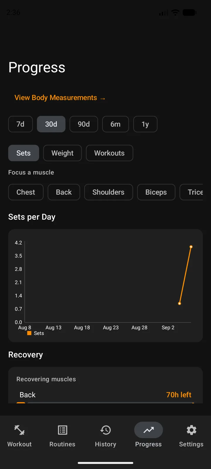 The Progress tab in Strongest showing a sets-per-day graph and muscle recovery windows.